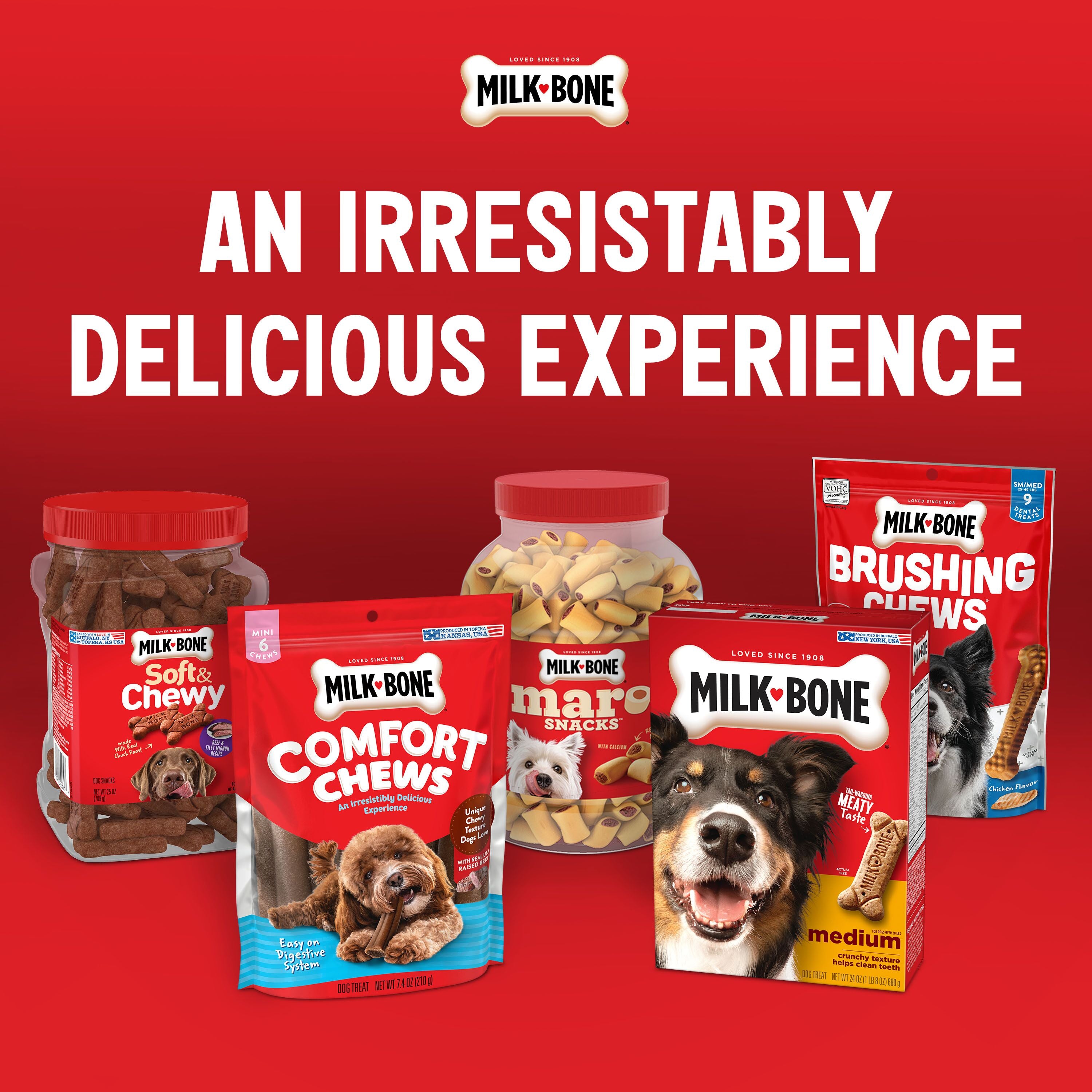Milk-Bone Apple Cinnamon Flavor Biscuits, Small Dog Treats, 8 oz