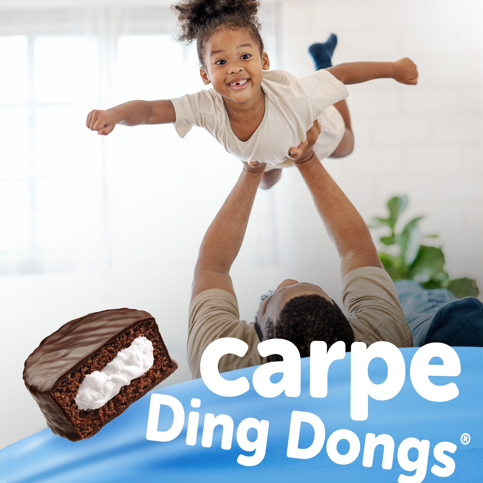 Hostess Ding Dongs Snack Cakes, Chocolate Flavor, 10 count, "Carpe Ding Dongs"